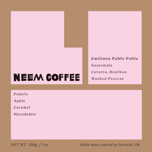 Guatemala - Emiliana Pablo Pablo